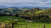 New Zealand Just Added New Entry Requirements for Travelers