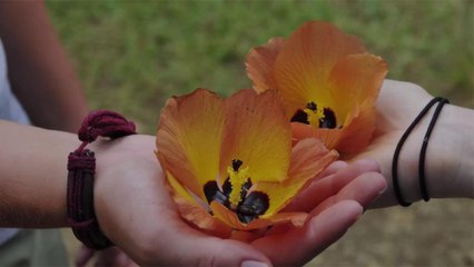 10 Basic Hawaiian Words and Phrases for Your Trip to the Aloha State