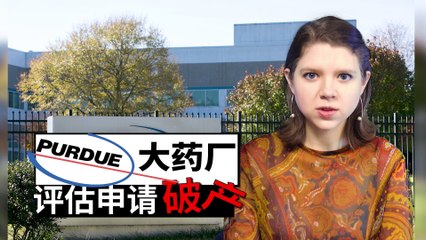 ChinesePod Today: OxyContin Maker Purdue Pharma Considering Bankruptcy (simp. characters)