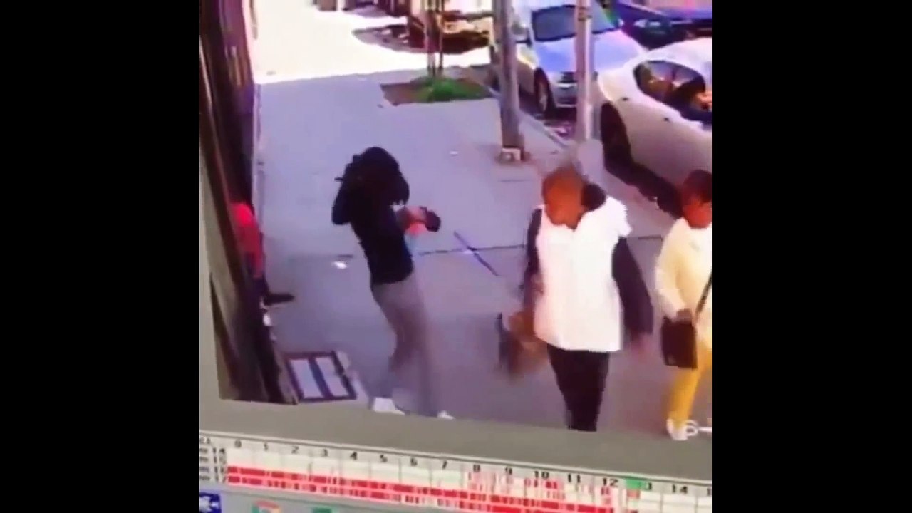 Angry Cats VS Dogs Funny Compilation #1