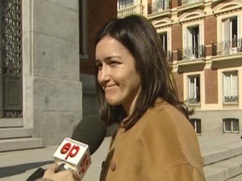 El Consejo de Ministros no aprueba la 'Ley Sinde'