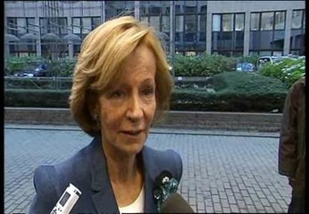 Elena Salgado acude a su último Ecofin