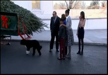 La familia Obama recibe su árbol de Navidad