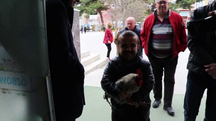 Burdur'da bir metre 30 santimlik seçmen, horozuyla oy kullandı