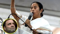 Mamata Banerjee ने Rahul Gandhi को बच्चा कहकर उड़ाया मजाक | वनइंडिया हिंदी
