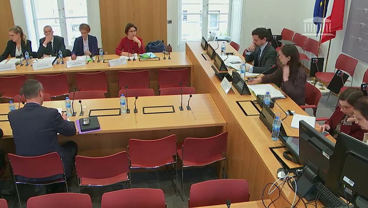 Délégation aux droits des femmes : Lutte contre les violences faites aux femmes (auditions diverses) - Mercredi 27 mars 2019