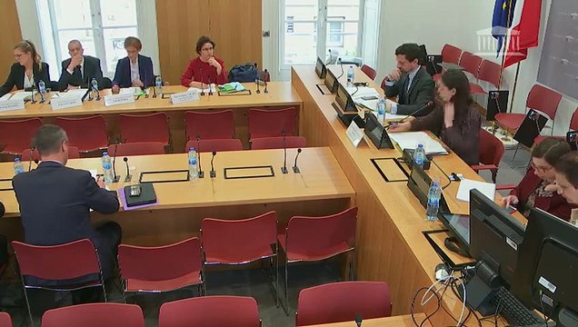 Délégation aux droits des femmes : Lutte contre les violences faites aux femmes (auditions diverses) - Mercredi 27 mars 2019