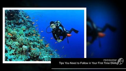 Tips You Need to Follow in Your First Time Diving