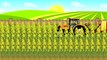 Fairy Tractors stories | Farm Work - Harvest of colza | Traktory, praca na Farmie . Historyjka