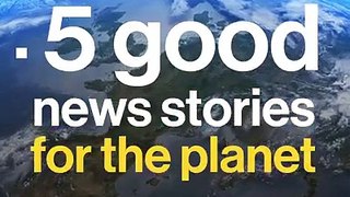 Pakistan's Billion Tree Tsunami Among 5 Good News Stories For The Planet