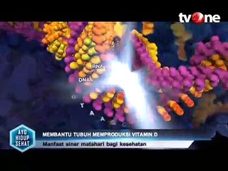 Manfaat Sinar Matahari yang Baik Bagi Tubuh