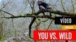 You vs. Wild, la nueva serie interactiva de Netflix