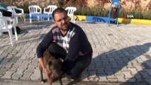 Mardin’de köpeğe katarakt ameliyatı yaptılar