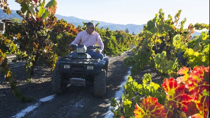 Alexander Valley Vineyards - Vineyard Wedding Venues