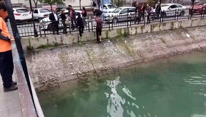 Düştüğü kanaldan halat yardımıyla kurtarıldı - ADANA