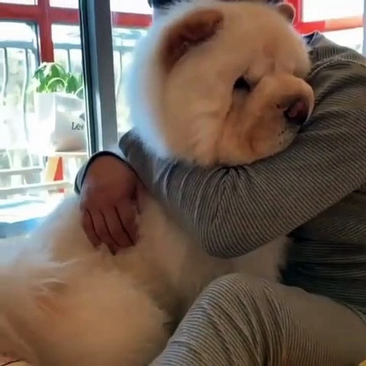 Cet homme donne un câlin à son chien pour la première fois. Sa réaction est trop cute !