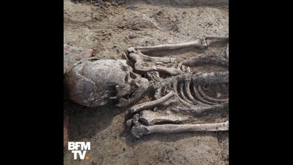 Un fabuleux tombeau étrusque resté intact dévoile ses mystères en Corse