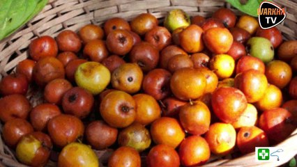 Conseil-Santé: Les vertus du Sidém ( Jujubes)