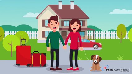 How to Fly with Your Pet with Delta United and American Airlines