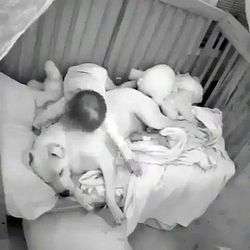 Cette petite fille va faire quelque chose de surprenant. Regardez !