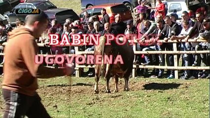 KORIDA KOD SAKETA BABIN POTOK 2019 UGOVORENE BORBE