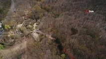 Kayıp Üniversite Öğrencisi Arda İçin Belgrad Ormanı'nda Havadan Arama Çalışması Yapılıyor