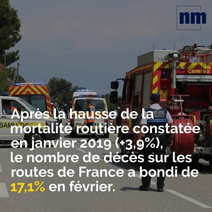 Morts sur les routes, pieds de cannabis, opération coup de poing dans le Golfe de Saint-Tropez:votre brief info de 14h15