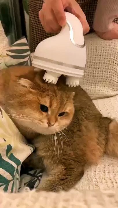 At the beginning , i refuse to do this. But at last it's tooooooo comfortable to stop.