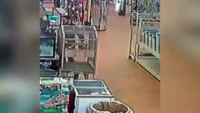 Michigan Man Steals Four-Foot Python and Stuffs It Down His Pants