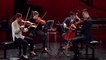 Brahms : Quatuor à cordes op.51 n°2 (Allegro non troppo)