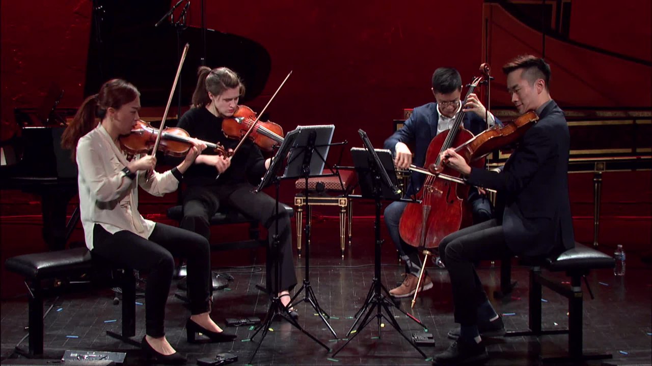 Brahms : Quatuor à cordes op.51 n°2 (Allegro non troppo)