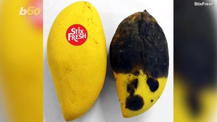 These Edible Stickers Keep Your Fruit Fresher and Tastier for Up to Two Weeks