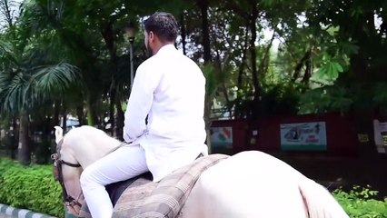 Amit bhadana best desi dialogues