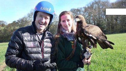 GOODLINES: 29th March 2019