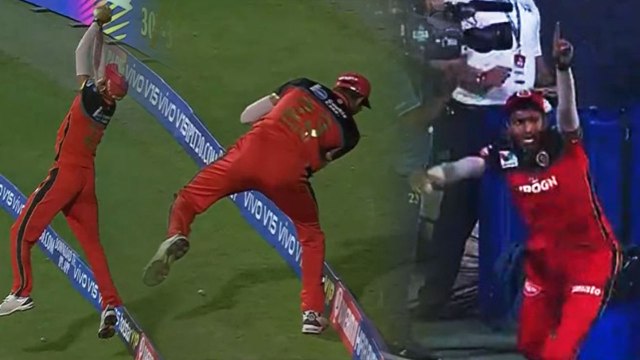 IPL 2019 RCB vs MI: Navdeep Saini takes a blinder catch, Krunal Pandya Shocked| वनइंडिया हिंदी