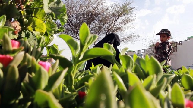 أم تبكي على أربعة من أبنائها الذين لقوا حتفهم خلال قتالهم إلى جانب الحوثيين