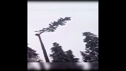 ト퍼스트바카라싸이트 ≤≤TTS332、CㅇM≥≥