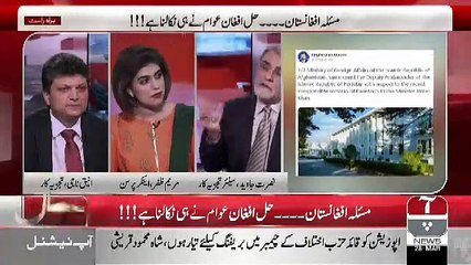 Nusrat Javed Response On American Ambassador In Afghanistan's Tweet..