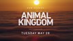 Animal Kingdom - Trailer Saison 4