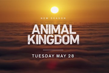 Animal Kingdom - Trailer Saison 4