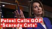 ‘Fear Of The Truth’: Nancy Pelosi Hits At 'Scaredy Cat' Republicans