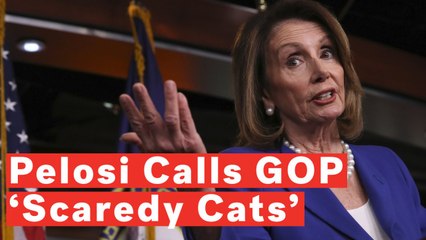 Скачать видео: ‘Fear Of The Truth’: Nancy Pelosi Hits At 'Scaredy Cat' Republicans