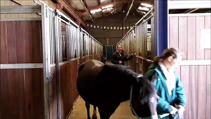 Eve Kuntz, propriétaire de l’école d’équitation EK Compet, à Freyming-Merlebach