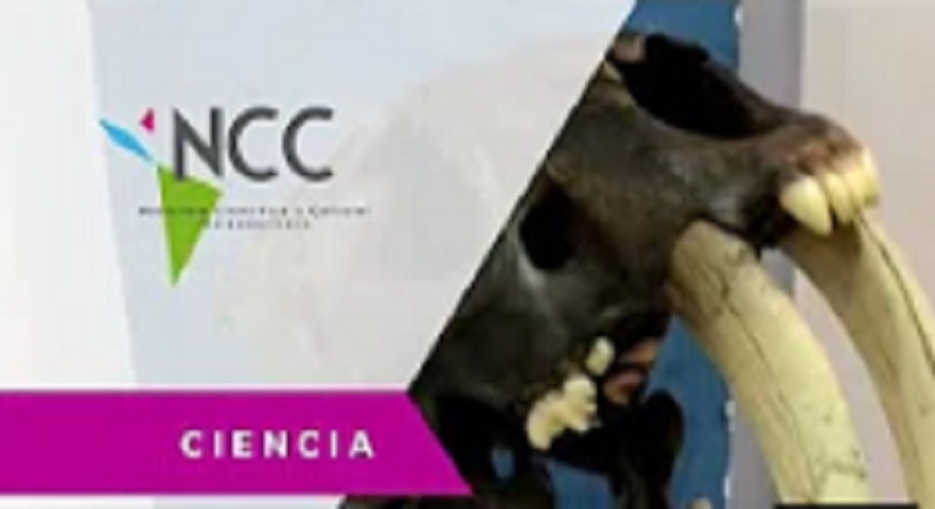 8000 kilómetros de cuevas sumergidas resguardan los misterios de la Prehistoria