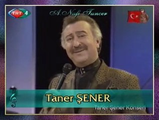 Taner ŞENER - Yağmur Git Penceremden Uykum Kaçırıyorsun