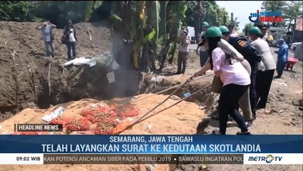 25 Ton Kentang Berbakteri Asal Skotlandia Dimusnahkan