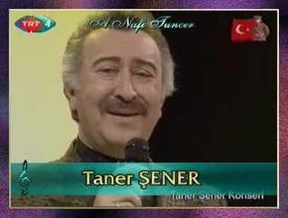 Taner ŞENER - Boşuna Düşmedik Seninle Dile
