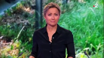 Mortalité routière : la faute aux radars détruits ?