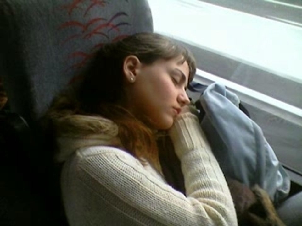 COMPAGNI DI SCUOLA