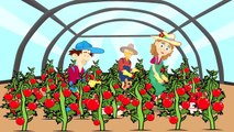 Mrs. Farmer and the Red Tractor | Tractor rides - Apples | cartoons for Kids | Pani Rolnik